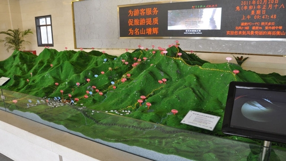 China Van de de Modellenstad van de reis Miniatuurstad van de het landschapslay-out Ce/ROHS/FCC leverancier