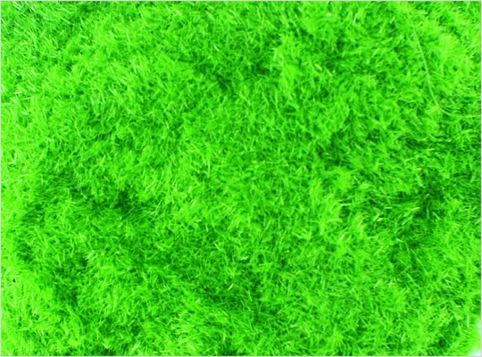 China 8 # 1 mm aangepaste Model trein lay-outs materialen Nylon Lt Green Grass poeder leverancier