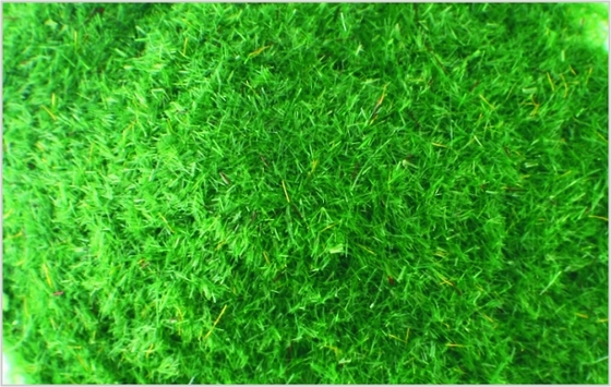 China 10 # 1 mm architectonische schaal Model trein lay-outs leveringen Nylon diep groene gras poeder leverancier