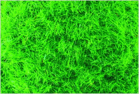 China A-1 2.5 mm aangepaste schaal Model trein lay-outs leveringen Nylon Med.Green gras maaltijd leverancier