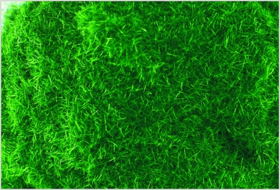 China J011 2 mm aangepaste Model trein lay-outs leveringen diepgroene Nylon Turf gras leverancier