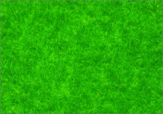 China R145 1 * 2,5 m aangepaste Model trein lay-outs gebouw materialen Viscose Turf gras leverancier