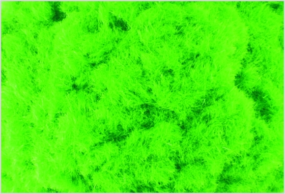 China C001 1,5 mm aangepaste Model trein lay-outs materialen gat spons gras poeder leverancier