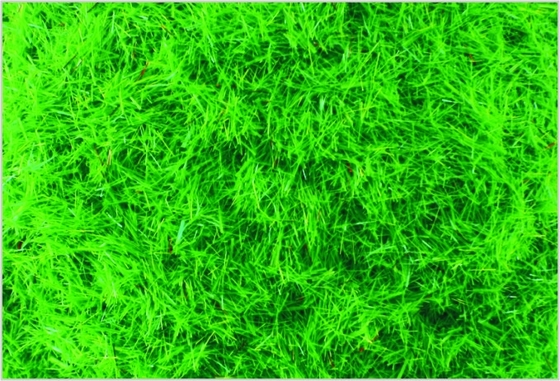 China A-1 2.5 mm aangepaste architectonisch Model trein lay-outs leveringen Nylon diep groene gras maaltijd leverancier
