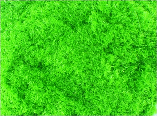 China 8 # 1 mm architectonische schaal Model trein lay-outs leveringen Nylon diep groene gras poeder leverancier