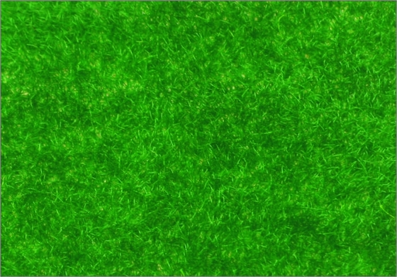 China R146 1 * 2,5 m architectonische schaal Model gebouw materialen Viscose Turf gras leverancier
