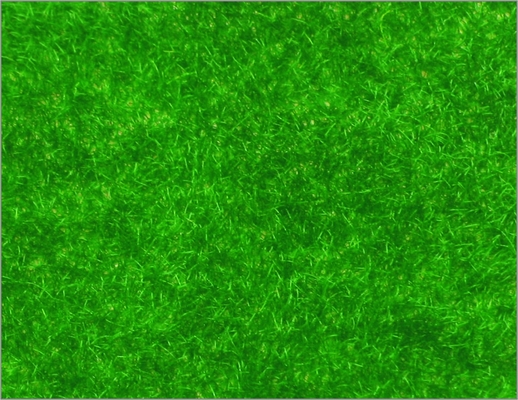 China N146 1 * 2,5 m aangepaste Model trein lay-outs gebouw materialen Nylon Turf gras leverancier