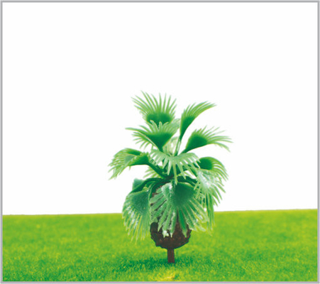 China HO van de de Bomen Groene Straat van de treinlay-out Miniatuur Modelkokospalm 5.5cm leverancier